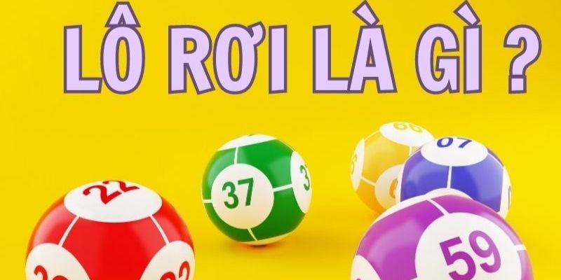 Tổng quan để hiểu hơn về lô rơi