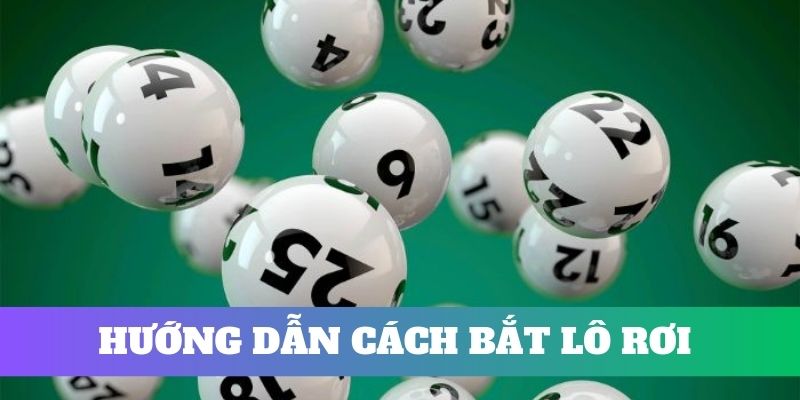 Tổng hợp cách bắt lô rơi chuẩn nhất cho bạn
